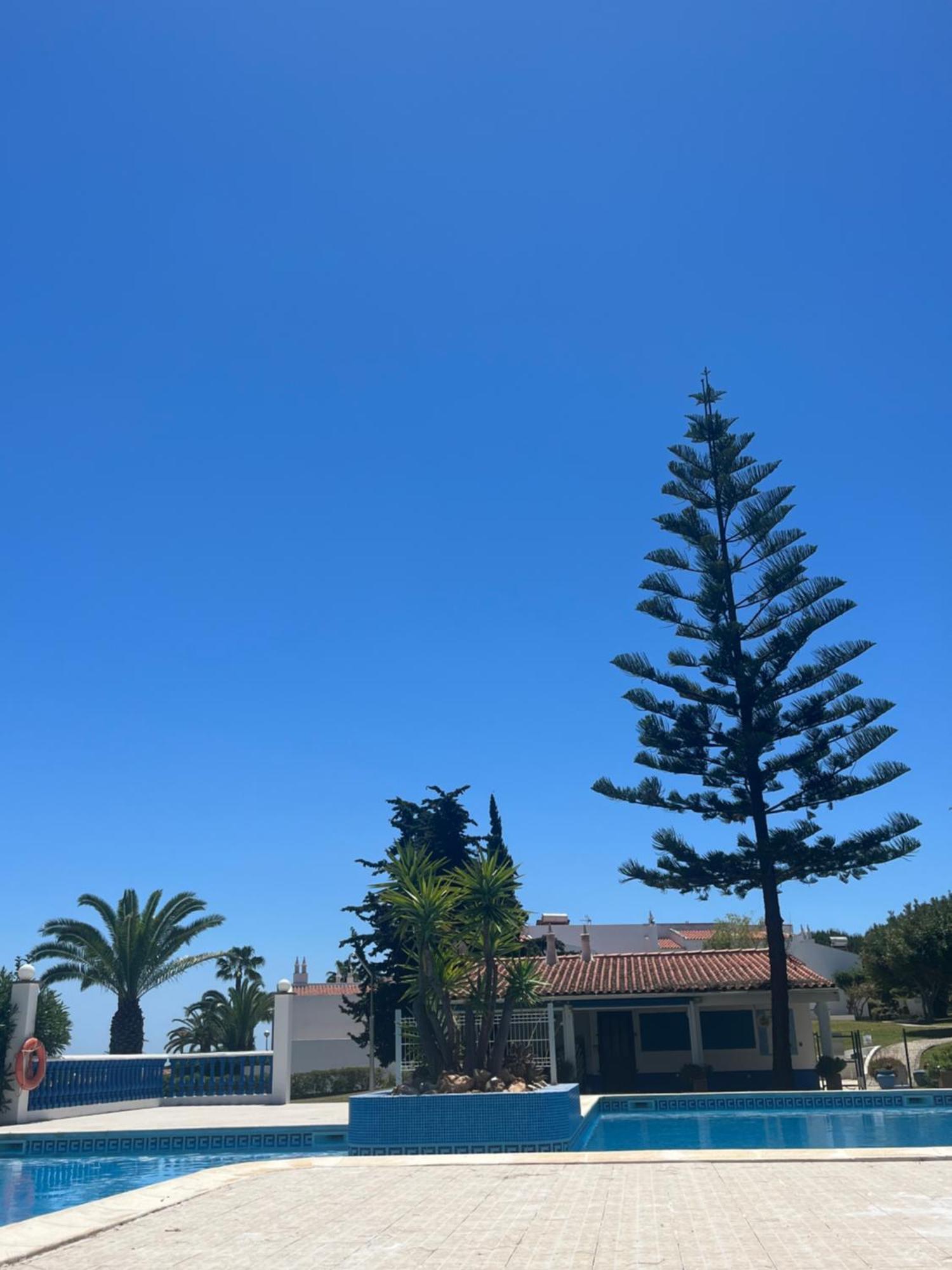 ポルシェスCasa Oliveira - Algarveアパートメント エクステリア 写真